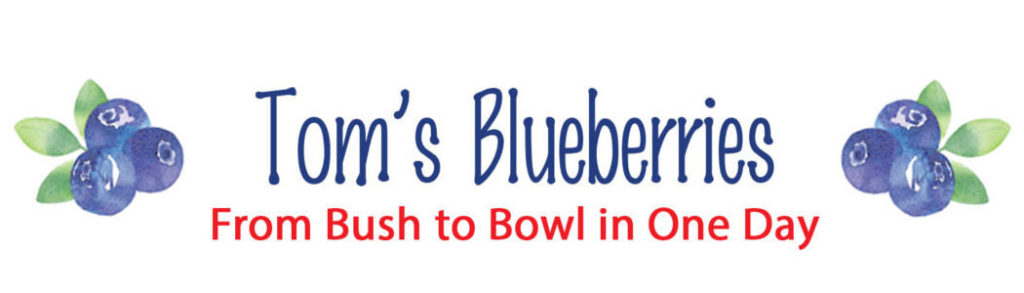 Tom's Blueberries logo